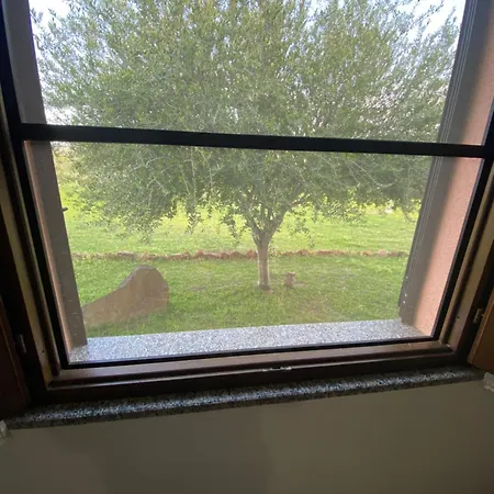 Affitta L'oleandro Guest house Torpe