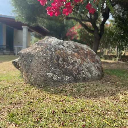 게스트하우스 Affitta L'oleandro Torpè