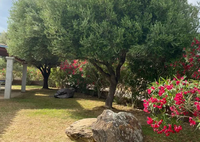 Affitta L'oleandro Torpe