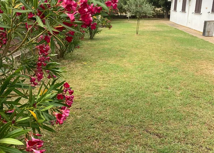 Affitta L'oleandro Guest house