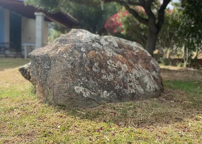 Guest house Affitta L'oleandro Torpe